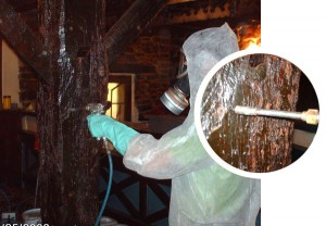 EMPRESAS DE CONTROL DE PLAGAS